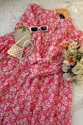 Daisy Delight ✨_img_0